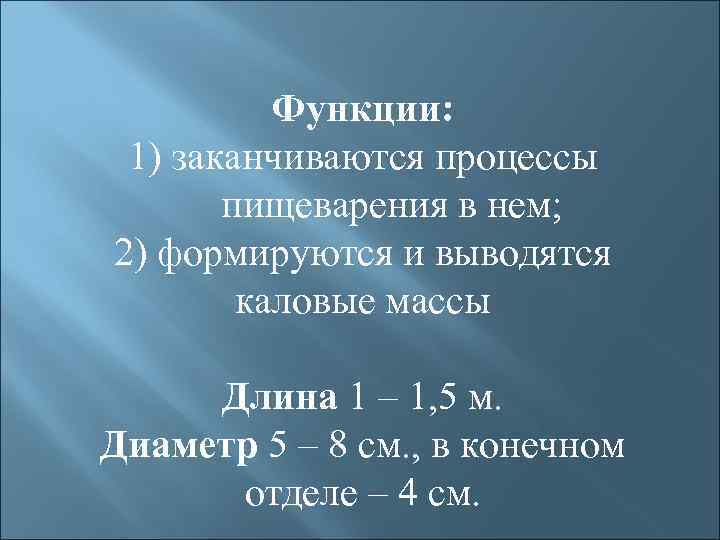 Функции: 1) заканчиваются процессы пищеварения в нем; 2) формируются и выводятся каловые массы Длина