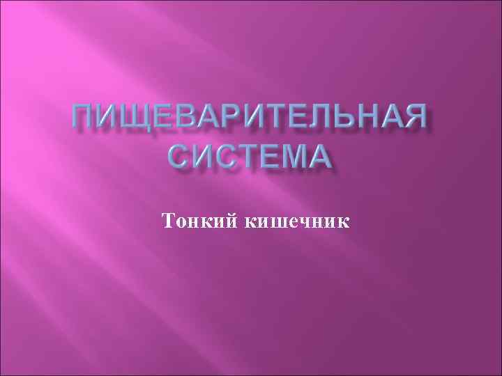 Тонкий кишечник 