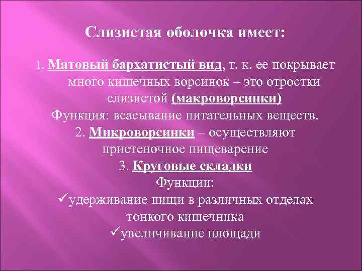 Слизистая оболочка имеет: 1. Матовый бархатистый вид, т. к. ее покрывает много кишечных ворсинок