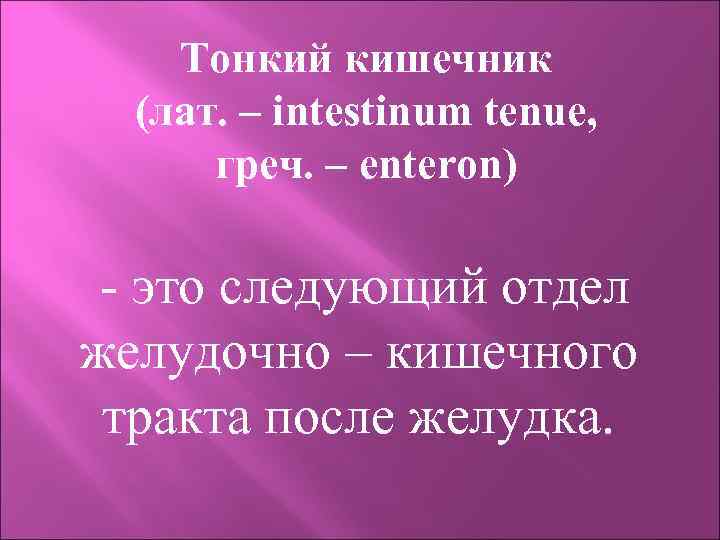 Тонкий кишечник (лат. – intestinum tenue, греч. – enteron) - это следующий отдел желудочно