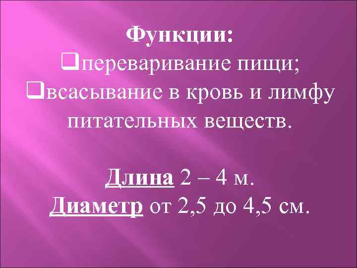 Функции: qпереваривание пищи; qвсасывание в кровь и лимфу питательных веществ. Длина 2 – 4