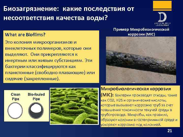 Биозагрязнение: какие последствия от несоответствия качества воды? What are Biofilms? Это колония микроорганизмов и