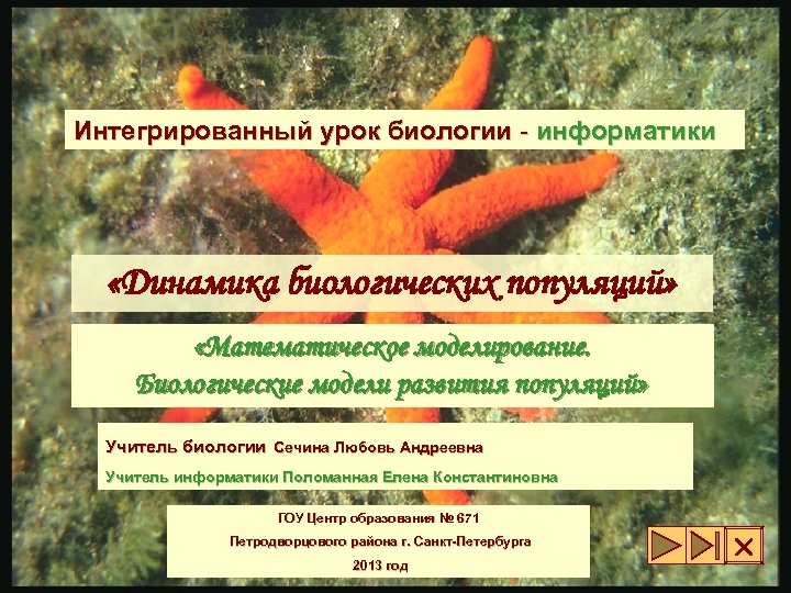 Интегрированный урок биологии - информатики «Динамика биологических популяций» «Математическое моделирование. Биологические модели развития популяций»