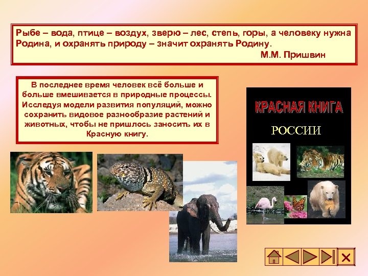 Рыбе – вода, птице – воздух, зверю – лес, степь, горы, а человеку нужна