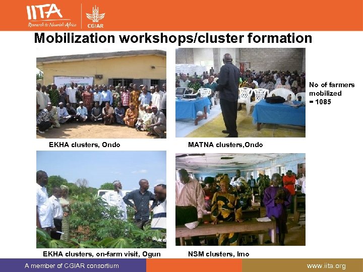 Mobilization workshops/cluster formation No of farmers mobilized = 1085 EKHA clusters, Ondo EKHA clusters,