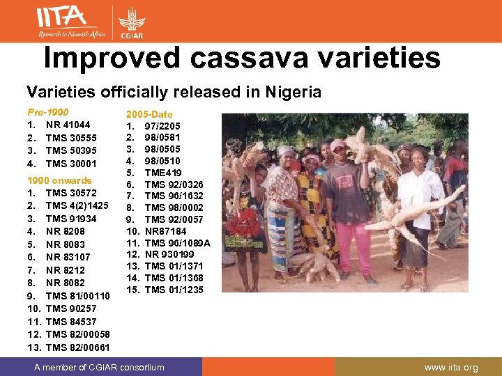 Improved cassava varieties Varieties officially released in Nigeria Pre-1990 1. NR 41044 2. TMS