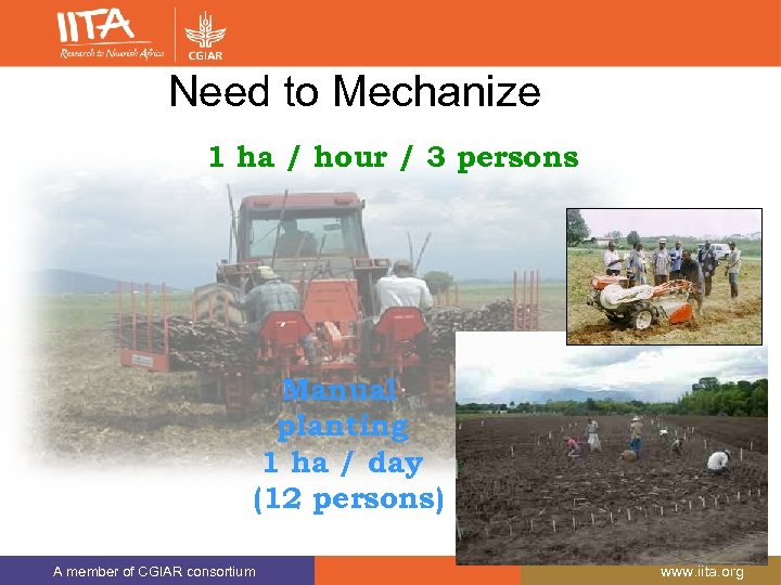 Need to Mechanize 1 ha / hour / 3 persons Manual planting 1 ha