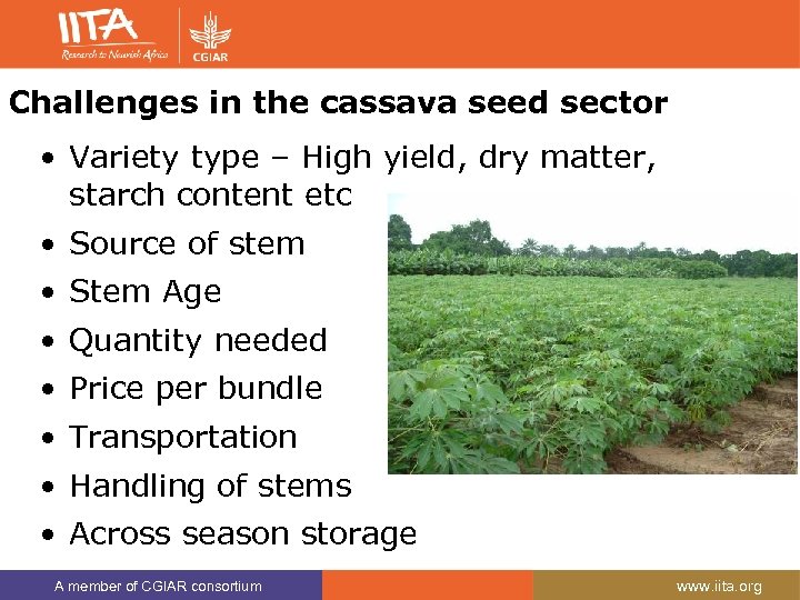 Challenges in the cassava seed sector • Variety type – High yield, dry matter,