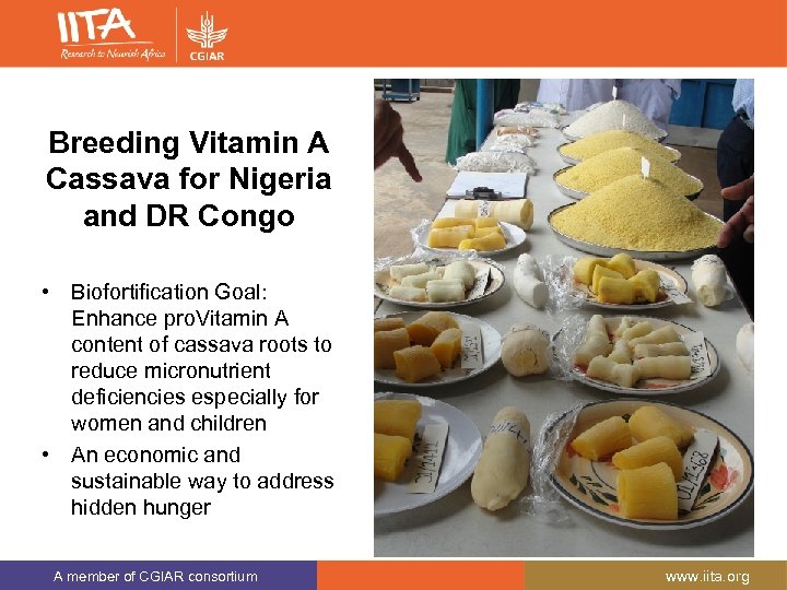 Breeding Vitamin A Cassava for Nigeria and DR Congo • Biofortification Goal: Enhance pro.