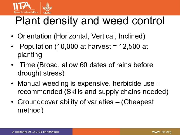 Plant density and weed control • Orientation (Horizontal, Vertical, Inclined) • Population (10, 000