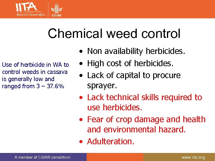 Chemical weed control Use of herbicide in WA to control weeds in cassava is