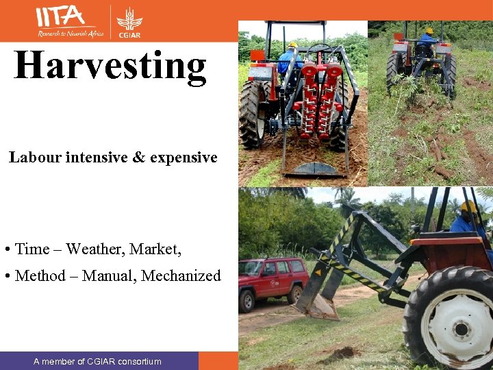 Harvesting Labour intensive & expensive • Time – Weather, Market, • Method – Manual,