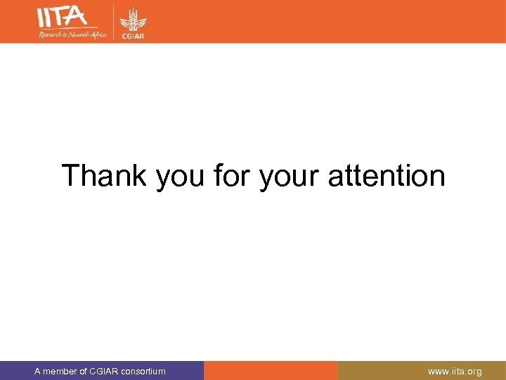 Thank you for your attention A member of CGIAR consortium www. iita. org 