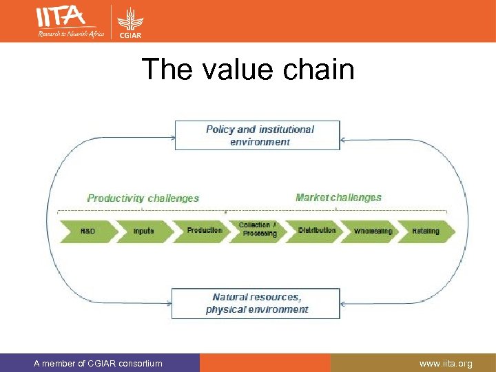 The value chain A member of CGIAR consortium www. iita. org 