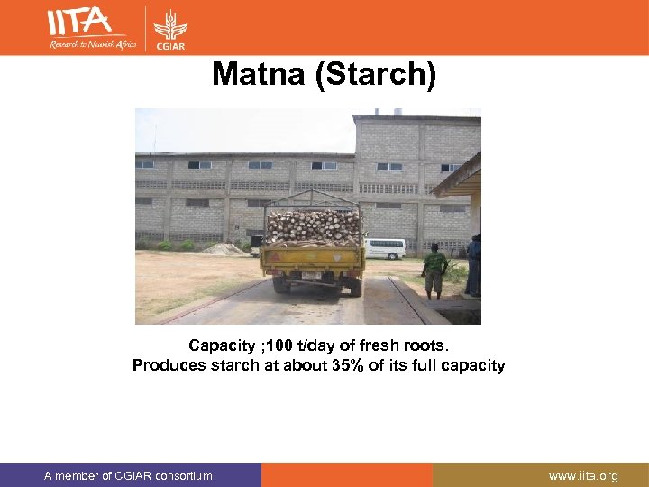 Matna (Starch) Capacity ; 100 t/day of fresh roots. Produces starch at about 35%