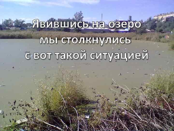 Явившись на озеро мы столкнулись с вот такой ситуацией 