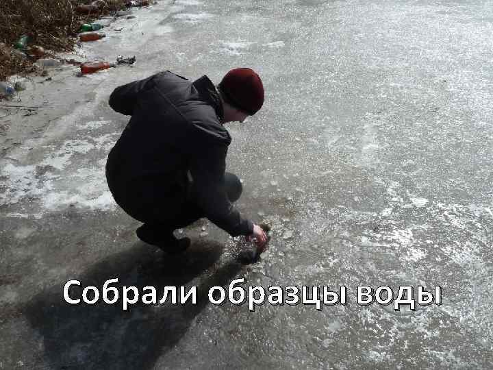 Собрали образцы воды 