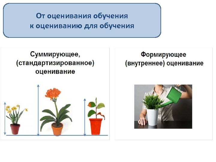 От оценивания обучения к оцениванию для обучения 