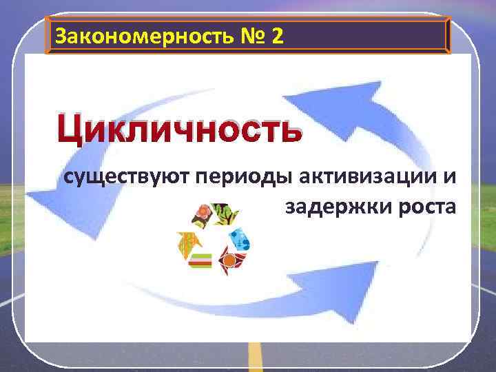 Закономерность № 2 Цикличность существуют периоды активизации и задержки роста 