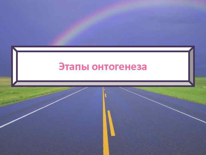 Этапы онтогенеза 