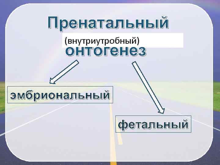 Пренатальный (внутриутробный) онтогенез эмбриональный фетальный 