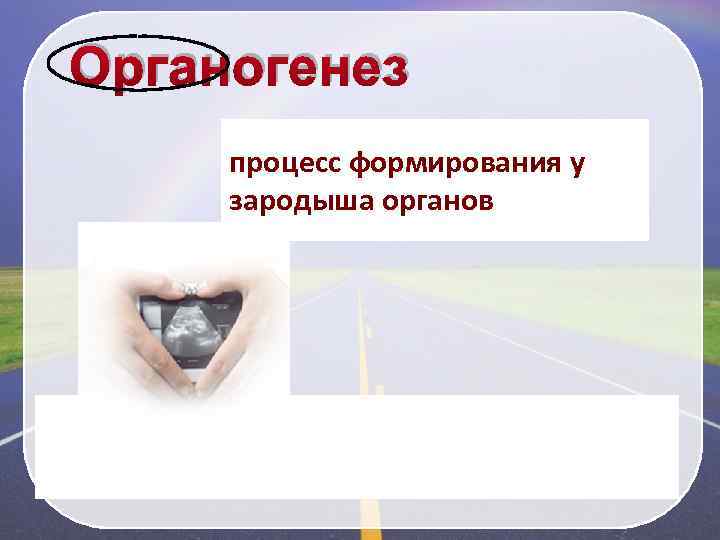 Органогенез процесс формирования у зародыша органов 