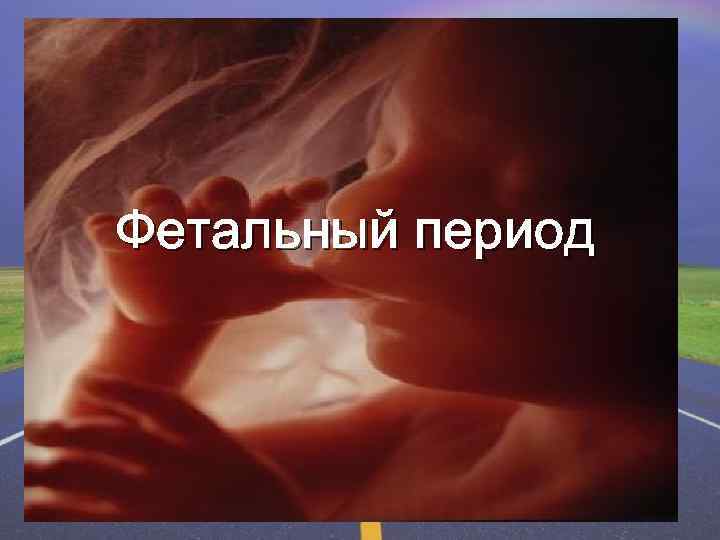 Фетальный период 