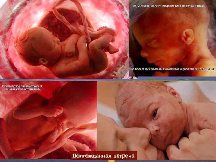 Долгожданная встреча 