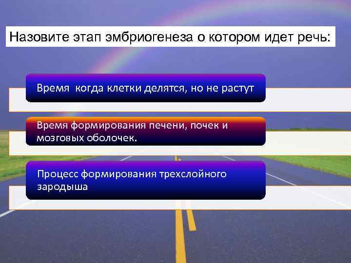 Назовите этап эмбриогенеза о котором идет речь: Время когда клетки делятся, но не растут