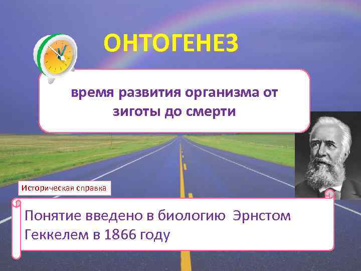 ОНТОГЕНЕЗ время развития организма от зиготы до смерти Историческая справка Понятие введено в биологию
