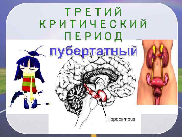 пубертатный 