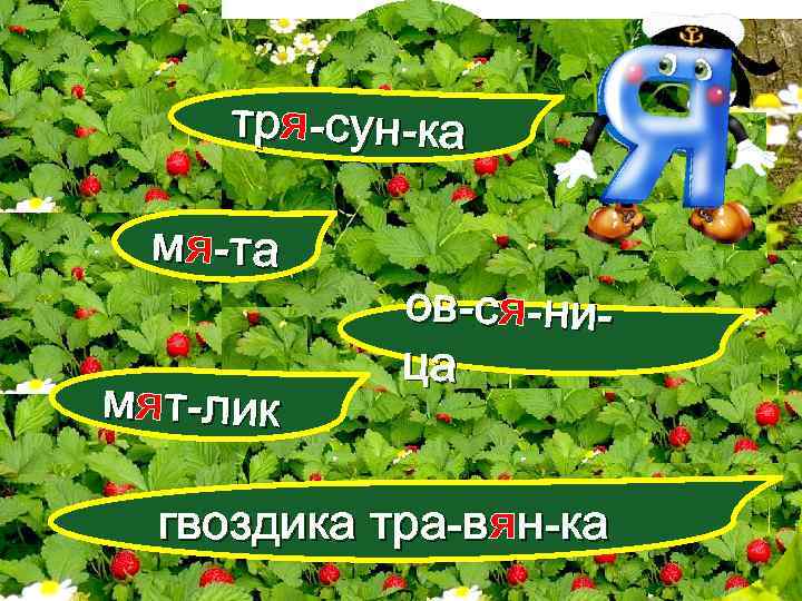 тря-сун-ка мя-та мят-лик ов-ся-ница гвоздика тра-вян-ка 