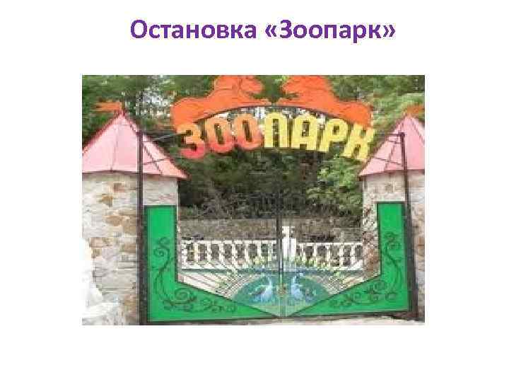 Остановка «Зоопарк» 