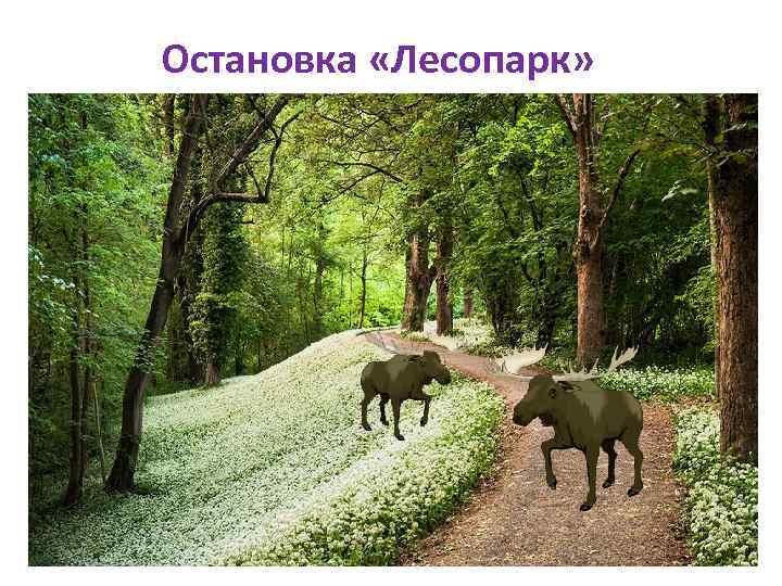 Остановка «Лесопарк» 