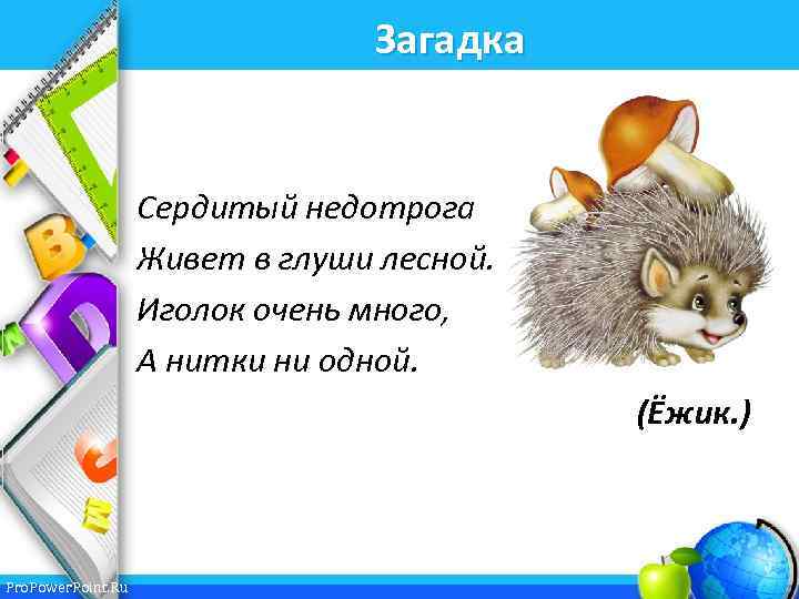 Загадка Сердитый недотрога Живет в глуши лесной. Иголок очень много, А нитки ни одной.