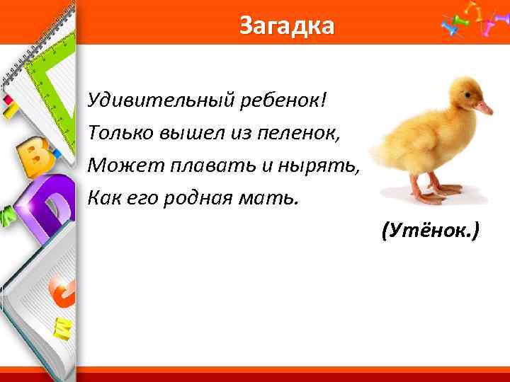 Загадка Удивительный ребенок! Только вышел из пеленок, Может плавать и нырять, Как его родная