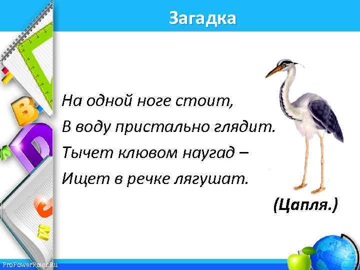 Загадка На одной ноге стоит, В воду пристально глядит. Тычет клювом наугад – Ищет