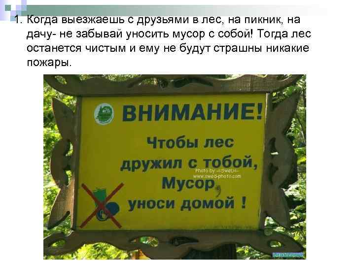 1. Когда выезжаешь с друзьями в лес, на пикник, на дачу- не забывай уносить