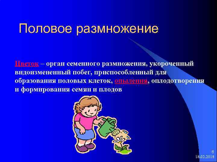 Половое размножение Цветок – орган семенного размножения, укороченный видоизмененный побег, приспособленный для образования половых