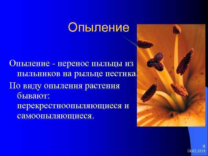 Опыление - перенос пыльцы из пыльников на рыльце пестика. По виду опыления растения бывают: