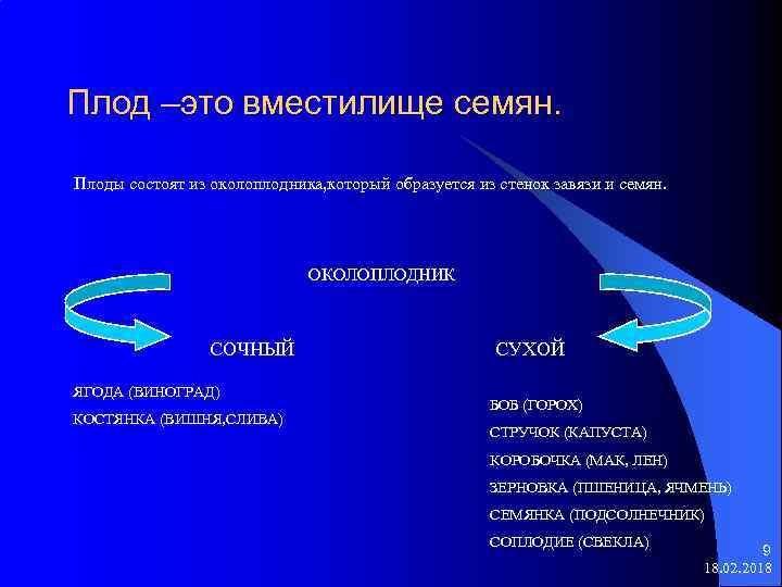 Плод –это вместилище семян. Плоды состоят из околоплодника, который образуется из стенок завязи и