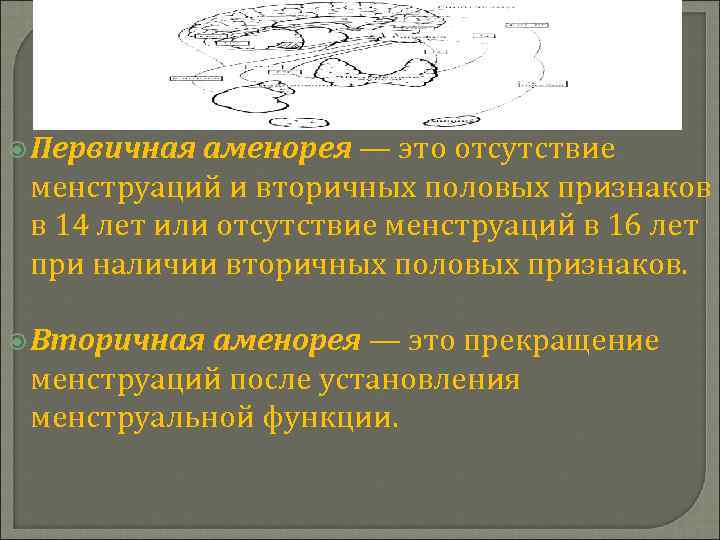  Первичная аменорея — это отсутствие менструаций и вторичных половых признаков в 14 лет