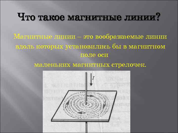 Что такое магнитные линии? Магнитные линии – это воображаемые линии вдоль которых установились бы