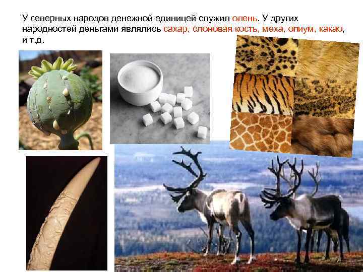 У северных народов денежной единицей служил олень. У других народностей деньгами являлись сахар, слоновая