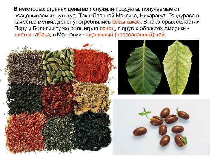  В некоторых странах деньгами служили продукты, получаемые от возделываемых культур. Так в Древней