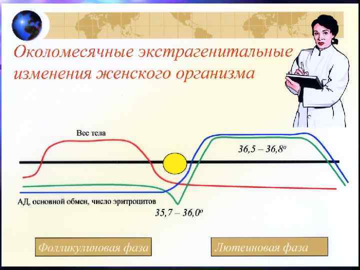 Биологические ритмы картинки