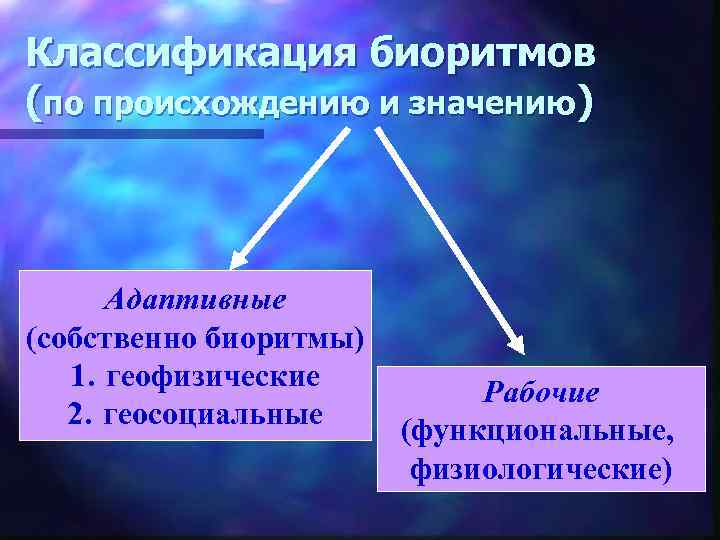 Классификация биоритмов (по происхождению и значению) Адаптивные (собственно биоритмы) 1. геофизические 2. геосоциальные Рабочие