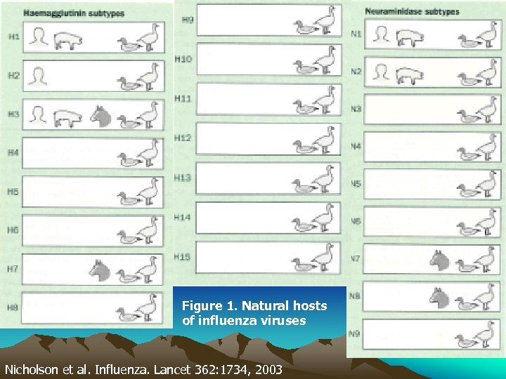 Figure 1. Natural hosts of influenza viruses Nicholson et al. Influenza. Lancet 362: 1734,