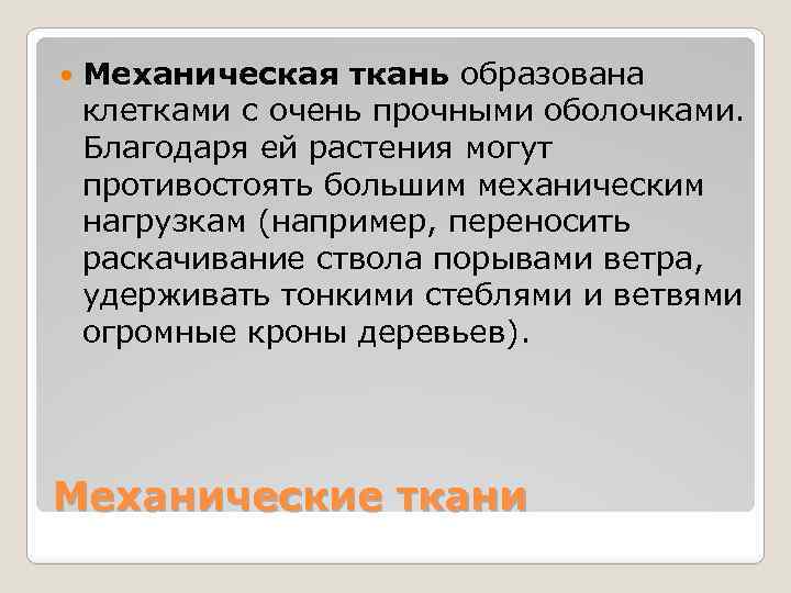  Механическая ткань образована клетками с очень прочными оболочками. Благодаря ей растения могут противостоять