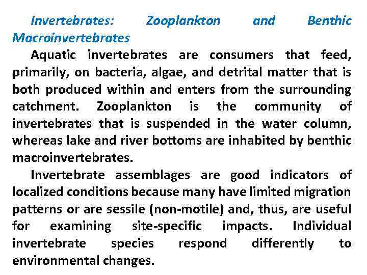 Invertebrates: Zooplankton and Benthic Macroinvertebrates Aquatic invertebrates are consumers that feed, primarily, on bacteria,